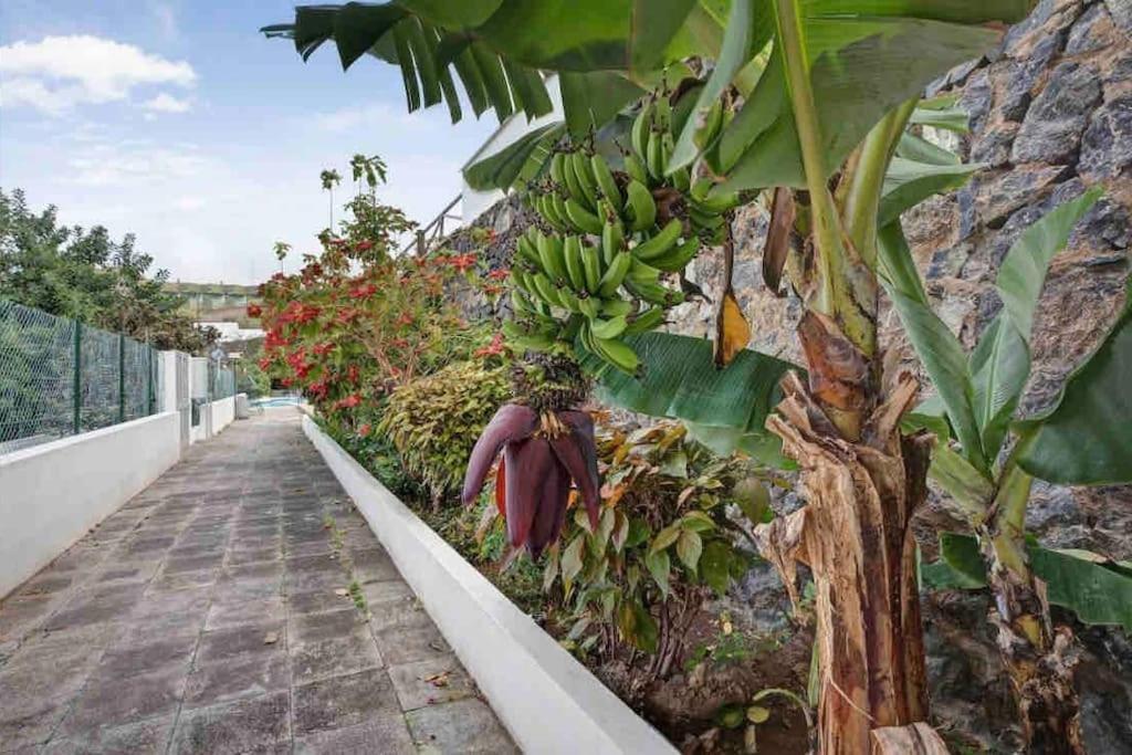 Paradise Studio Belair Wifi, Piscina, Parking Puerto de la Cruz  Exterior photo